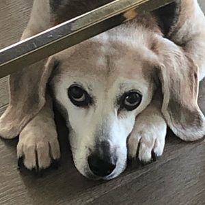 Meet your Posher, Sean